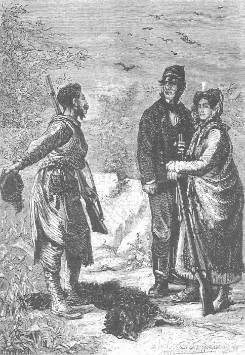 Иллюстрация к книге — В стране мехов [i_036.jpg]