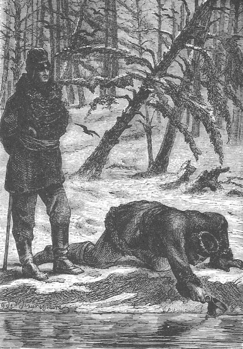 Иллюстрация к книге — В стране мехов [i_051.jpg]