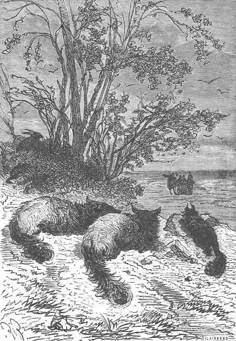 Иллюстрация к книге — В стране мехов [i_060.jpg]