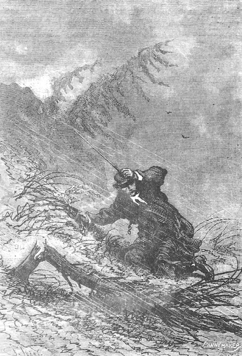 Иллюстрация к книге — В стране мехов [i_066.jpg]