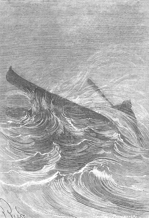 Иллюстрация к книге — В стране мехов [i_075.jpg]