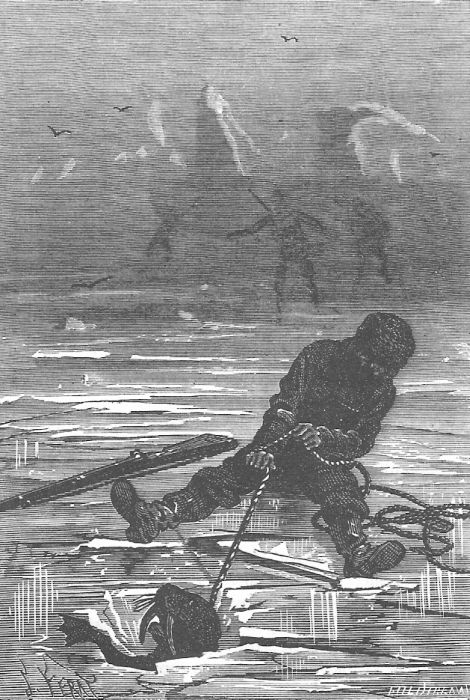 Иллюстрация к книге — В стране мехов [i_085.jpg]