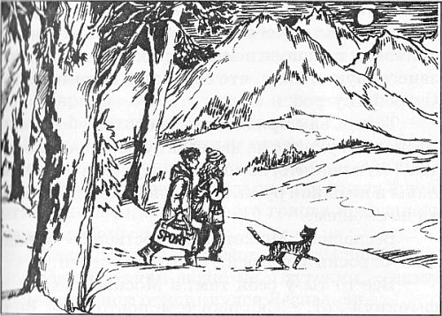 Иллюстрация к книге — Чародейские каникулы [i_001.jpg]