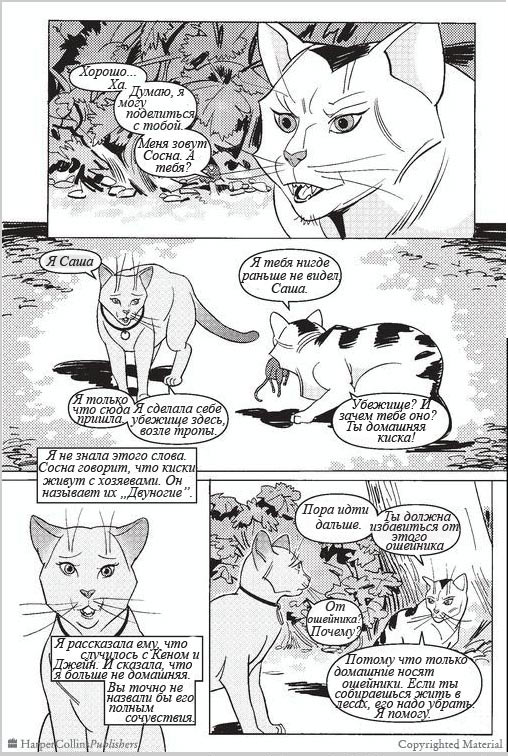 Иллюстрация к книге — Манга. Звездоцап и Саша: В леса! [16.jpg]