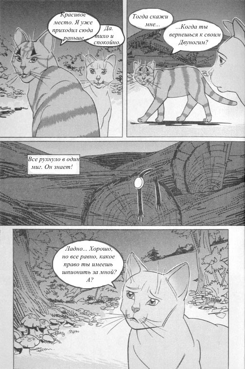 Иллюстрация к книге — Манга. Звездоцап и Саша: В леса! [39.jpg]
