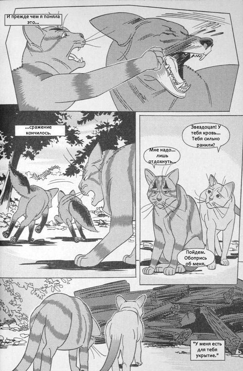 Иллюстрация к книге — Манга. Звездоцап и Саша: В леса! [54.jpg]