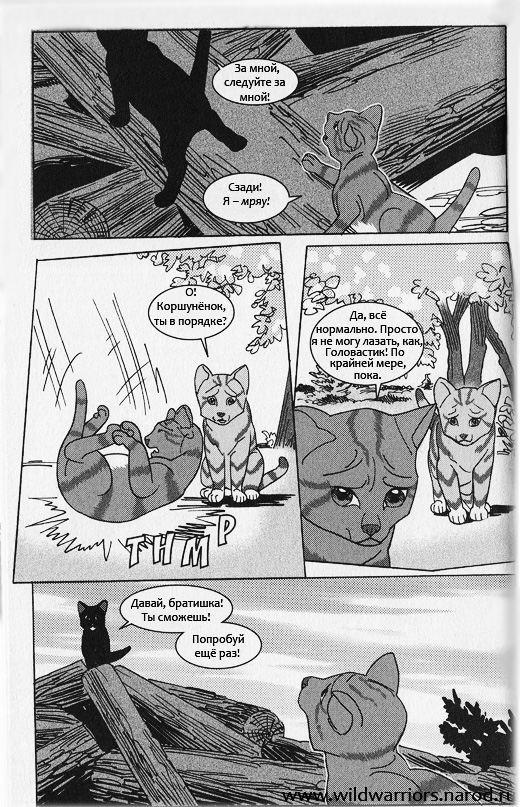 Иллюстрация к книге — Манга. Звездоцап и Саша: Возвращение в племена [11.jpg]