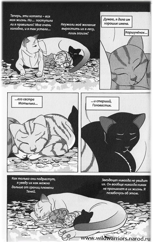 Иллюстрация к книге — Манга. Звездоцап и Саша: Возвращение в племена [3.jpg]
