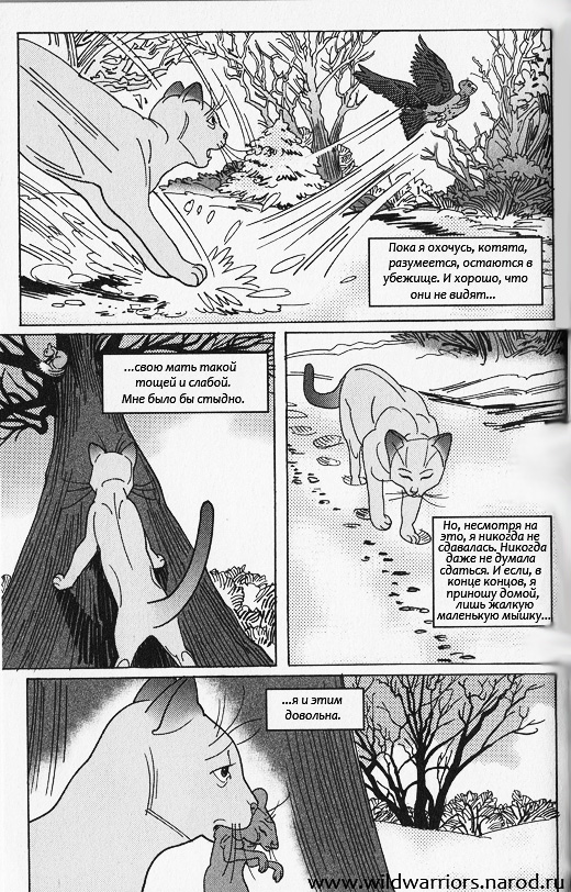 Иллюстрация к книге — Манга. Звездоцап и Саша: Возвращение в племена [5.jpg]