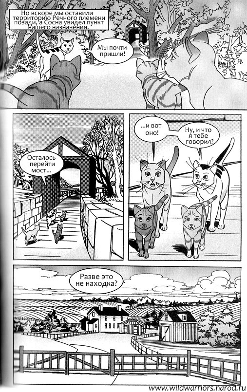 Иллюстрация к книге — Манга. Звездоцап и Саша: Возвращение в племена [53.jpg]