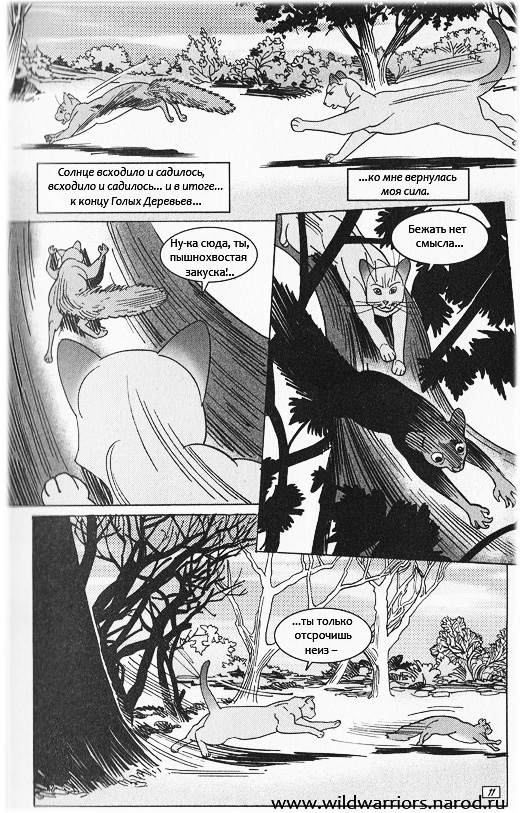 Иллюстрация к книге — Манга. Звездоцап и Саша: Возвращение в племена [6.jpg]