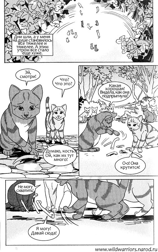 Иллюстрация к книге — Манга. Звездоцап и Саша: Возвращение в племена [74.jpg]