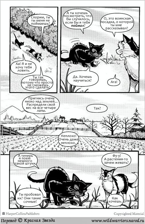 Иллюстрация к книге — Манга. Путь Горелого. Разрушенный мир [11.jpg]