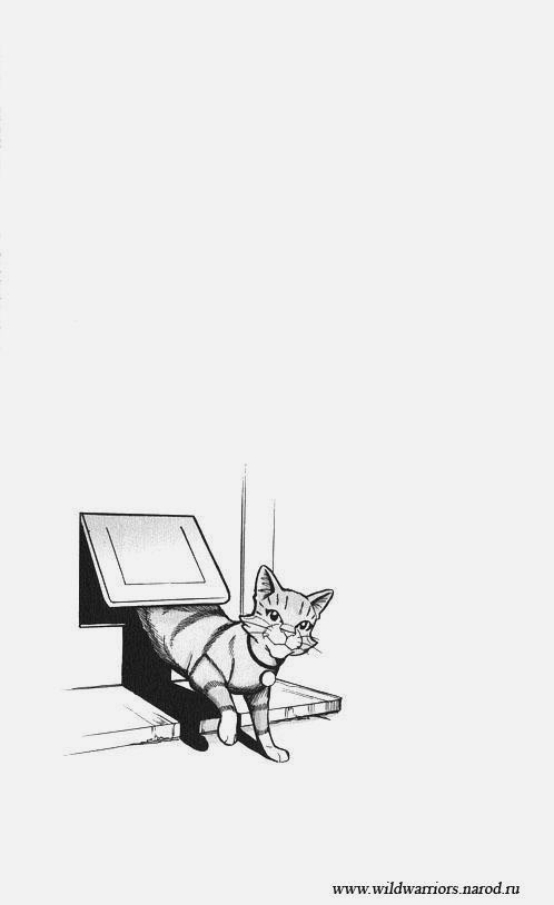 Иллюстрация к книге — Манга. Путь Горелого. Племя в нужде [48.jpg]