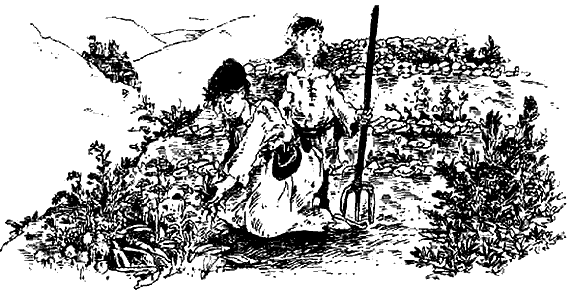 Иллюстрация к книге — Чернильная кровь [i_012.png]