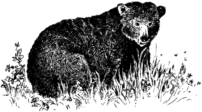 Иллюстрация к книге — Чернильная кровь [i_027.png]