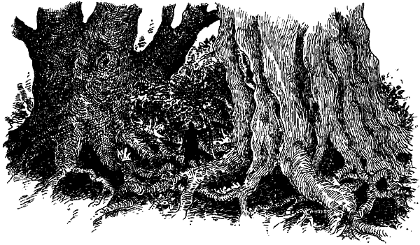 Иллюстрация к книге — Чернильная кровь [i_030.png]