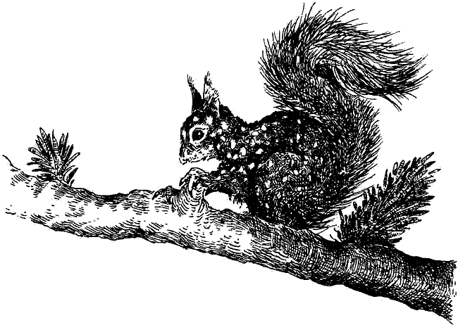 Иллюстрация к книге — Чернильная кровь [i_031.png]