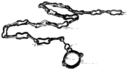 Иллюстрация к книге — Чернильная кровь [i_034.png]