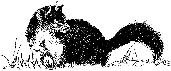 Иллюстрация к книге — Чернильная кровь [i_037.png]