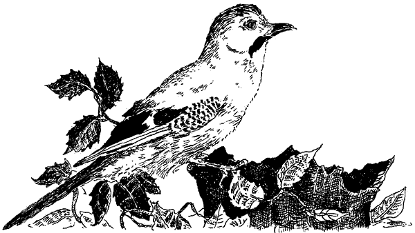 Иллюстрация к книге — Чернильная кровь [i_040.png]