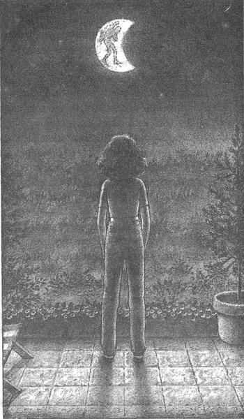 Иллюстрация к книге — Колючник [_pic11.jpg]