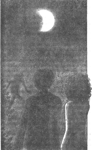 Иллюстрация к книге — Колючник [_pic12.jpg]