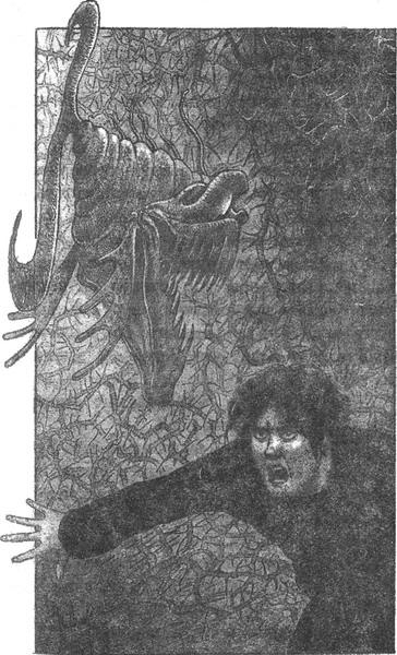 Иллюстрация к книге — Колючник [_pic14.jpg]