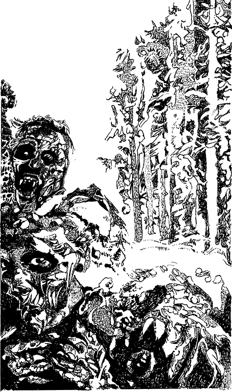 Иллюстрация к книге — Всадники проклятого леса [i_001.png]