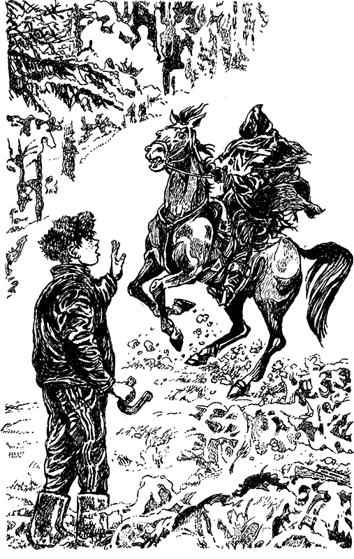 Иллюстрация к книге — Всадники проклятого леса [i_004.png]