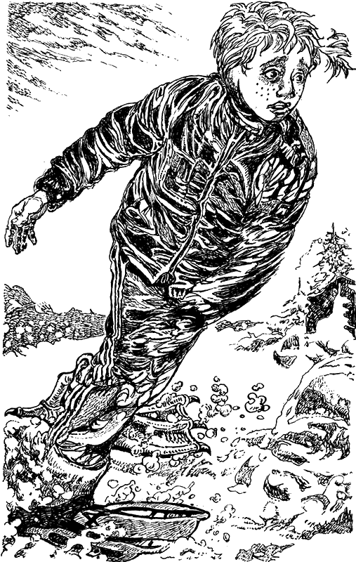 Иллюстрация к книге — Всадники проклятого леса [i_007.png]