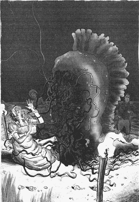 Иллюстрация к книге — Разум и чувства и гады морские [i_005.png]