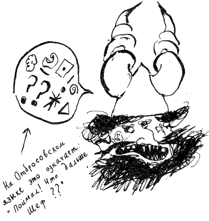 Иллюстрация к книге — Как стать пиратом [i_060.png]