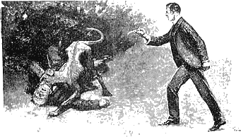 Иллюстрация к книге — Приключения Шерлока Холмса [i104.png]