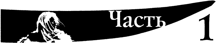 Иллюстрация к книге — Король Призраков [i_002.png]