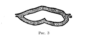 Иллюстрация к книге — Сборник «Рассказы» 1845 [pic3.jpg]
