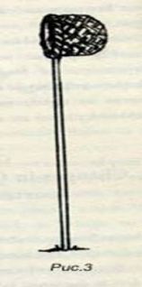 Иллюстрация к книге — Квиддитч сквозь века [pic_3.jpg]