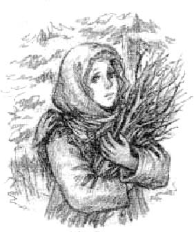 Иллюстрация к книге — Сибирочка [untitled1kopirovat.jpg]