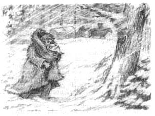 Иллюстрация к книге — Сибирочка [untitled2kopirovat.jpg]