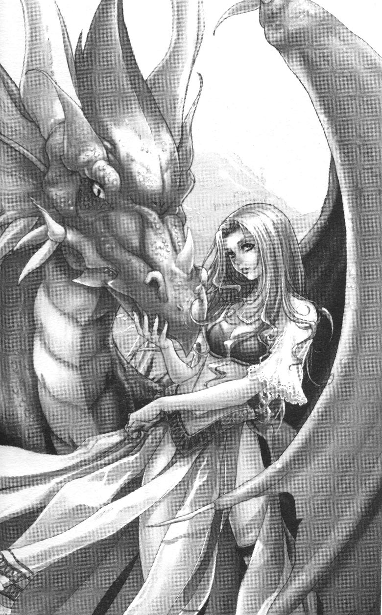 Иллюстрация к книге — Охота на дракона. Том 1 [001.jpg]