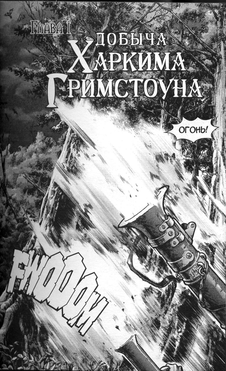 Иллюстрация к книге — Охота на дракона. Том 1 [022.jpg]