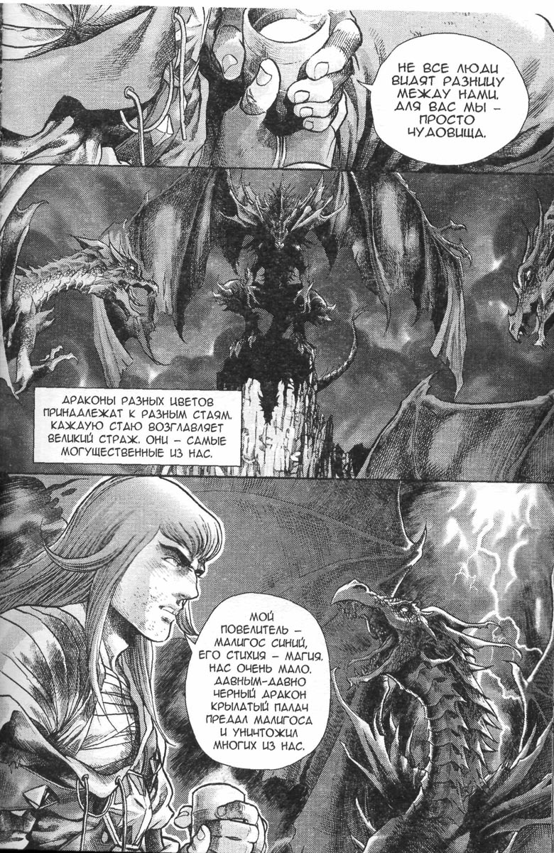 Иллюстрация к книге — Охота на дракона. Том 1 [039.jpg]