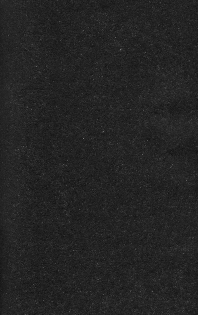 Иллюстрация к книге — Тени во льдах. Том 2 [170.jpg]