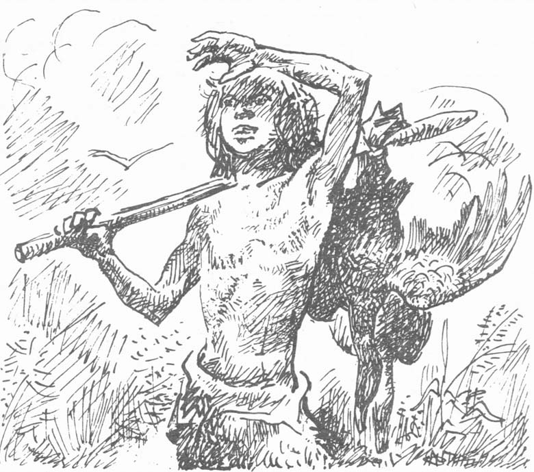 Иллюстрация к книге — Приключения доисторического мальчика [d2.jpg]