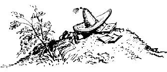 Иллюстрация к книге — Приключения Незнайки и его друзей [image017.png]