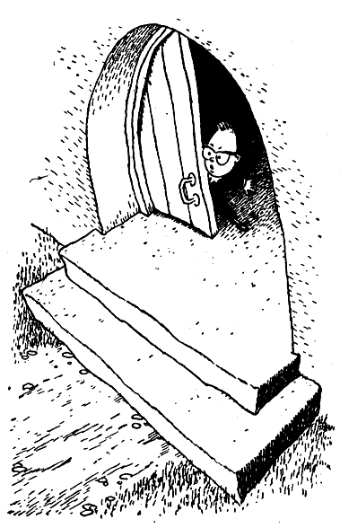 Иллюстрация к книге — Незнайка на Луне [i_021.png]