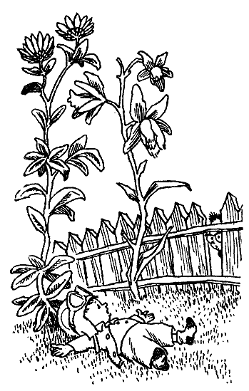 Иллюстрация к книге — Незнайка на Луне [i_022.png]