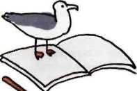 Иллюстрация к книге — 35 кило надежды [pic_32.jpg]