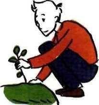 Иллюстрация к книге — 35 кило надежды [pic_37.jpg]