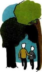 Иллюстрация к книге — 35 кило надежды [pic_50.jpg]